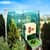 GIBS Business School Bangalore Offers Different BBA Future Ready Programmes in 2026